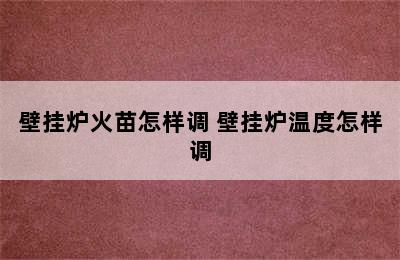 壁挂炉火苗怎样调 壁挂炉温度怎样调